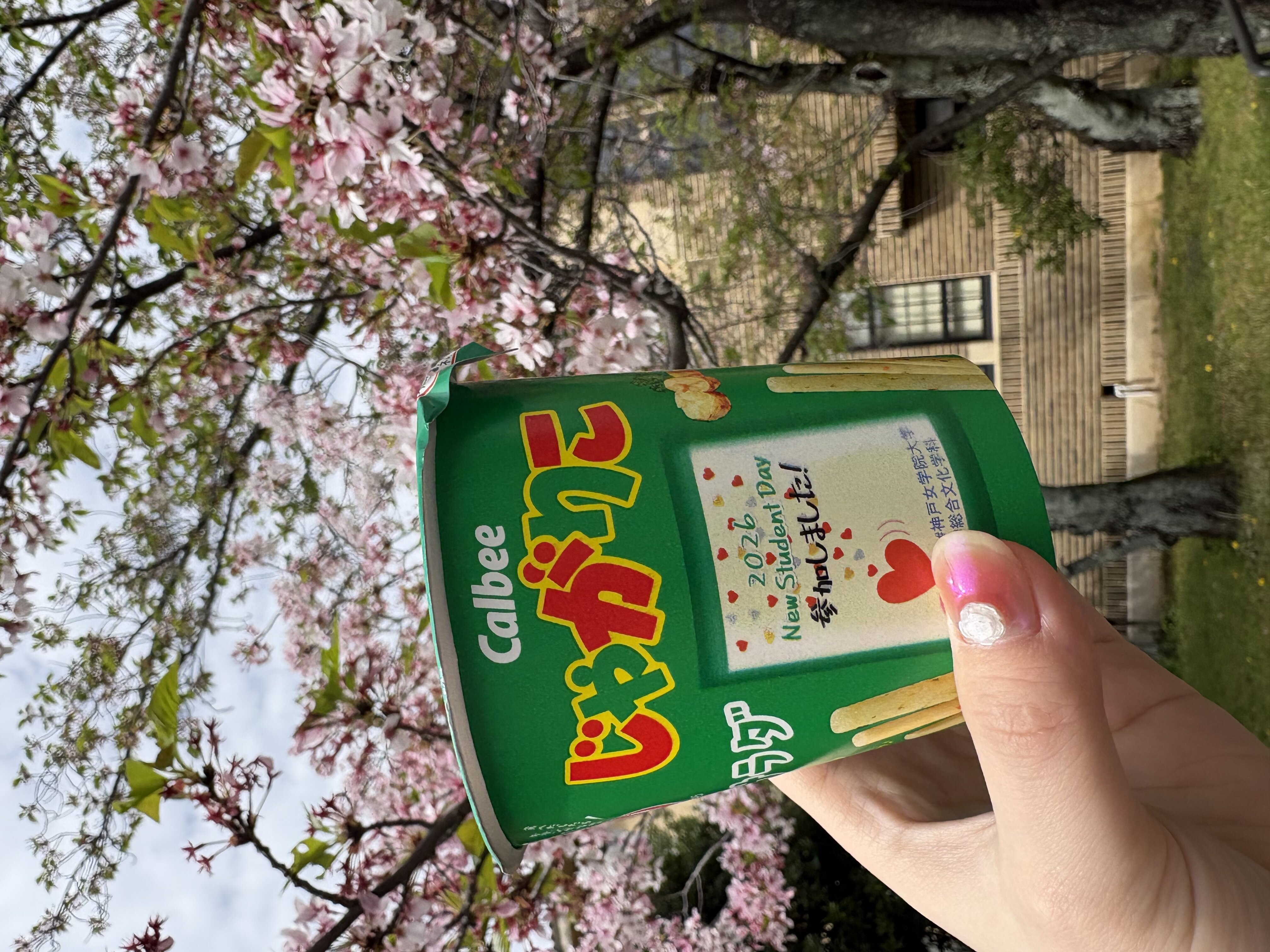 写真 2026-04-14 9 36 24.jpg